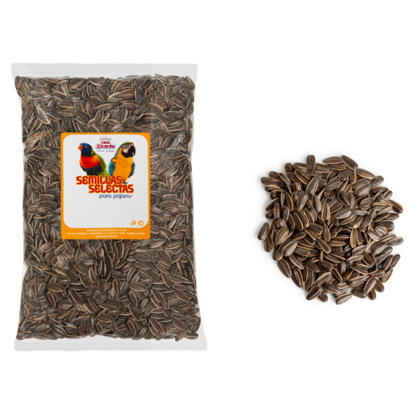 Pipas Girasol Crudas. Envase 500gr.